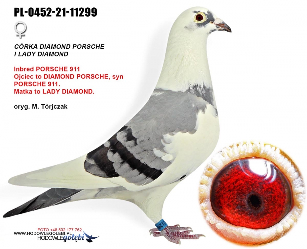 PL-0452-21-11299 SYN DIAMOND PORSCHE