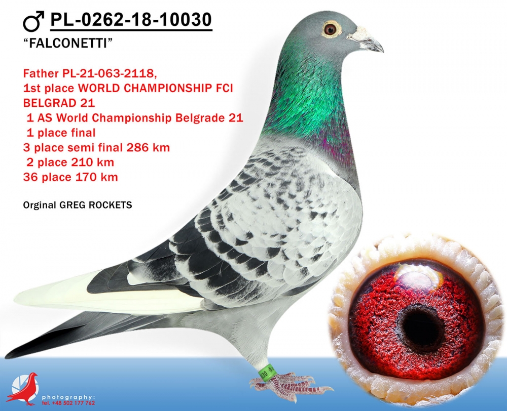 PL-0262-18-10030 FALCONETTI