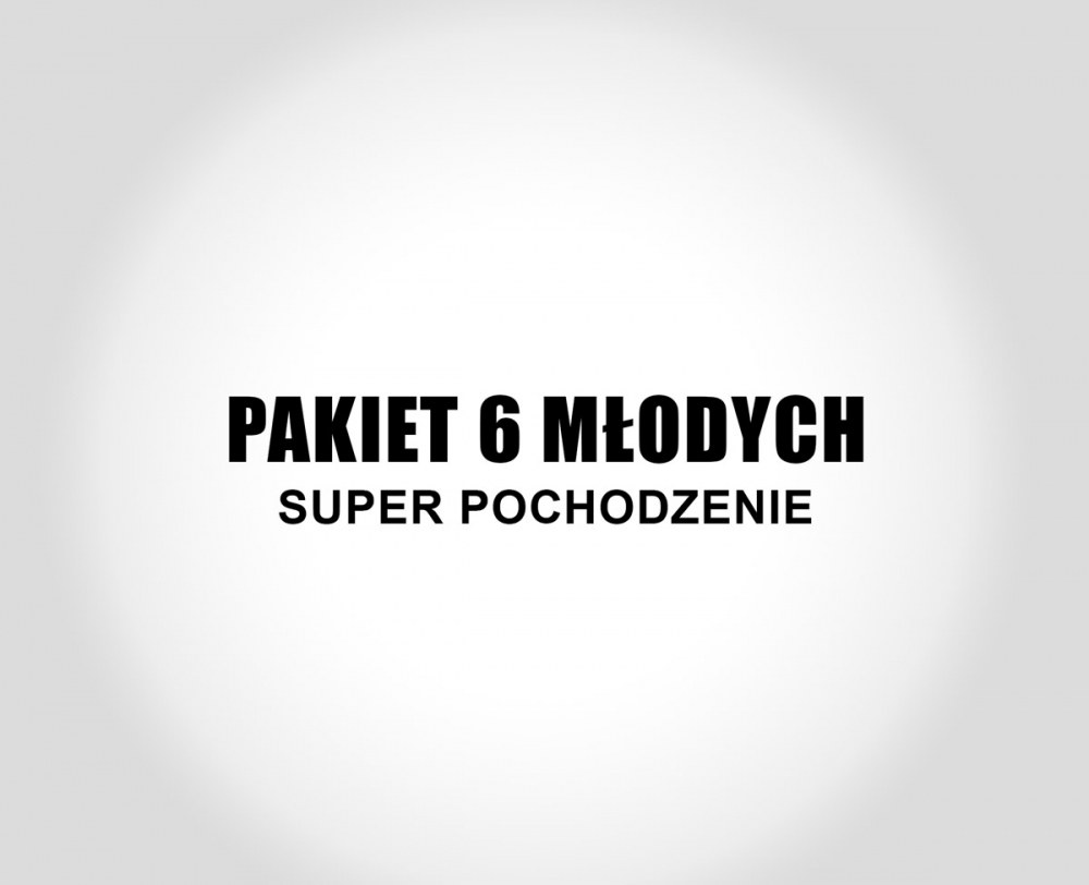 Pakiet 6 młodych - SUPER POCHODZENIE