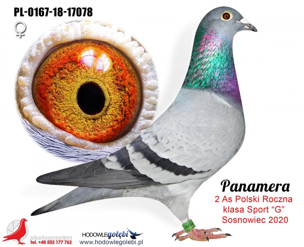 PL-0167-18-17078 Panamera