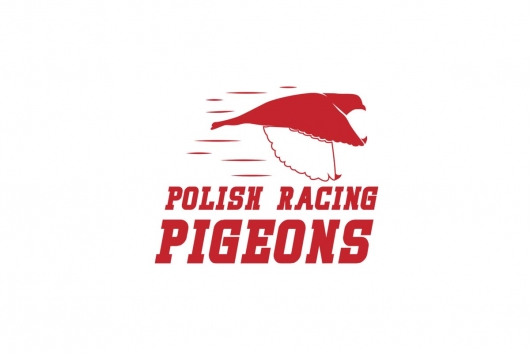 Polish Racing Pigeons
