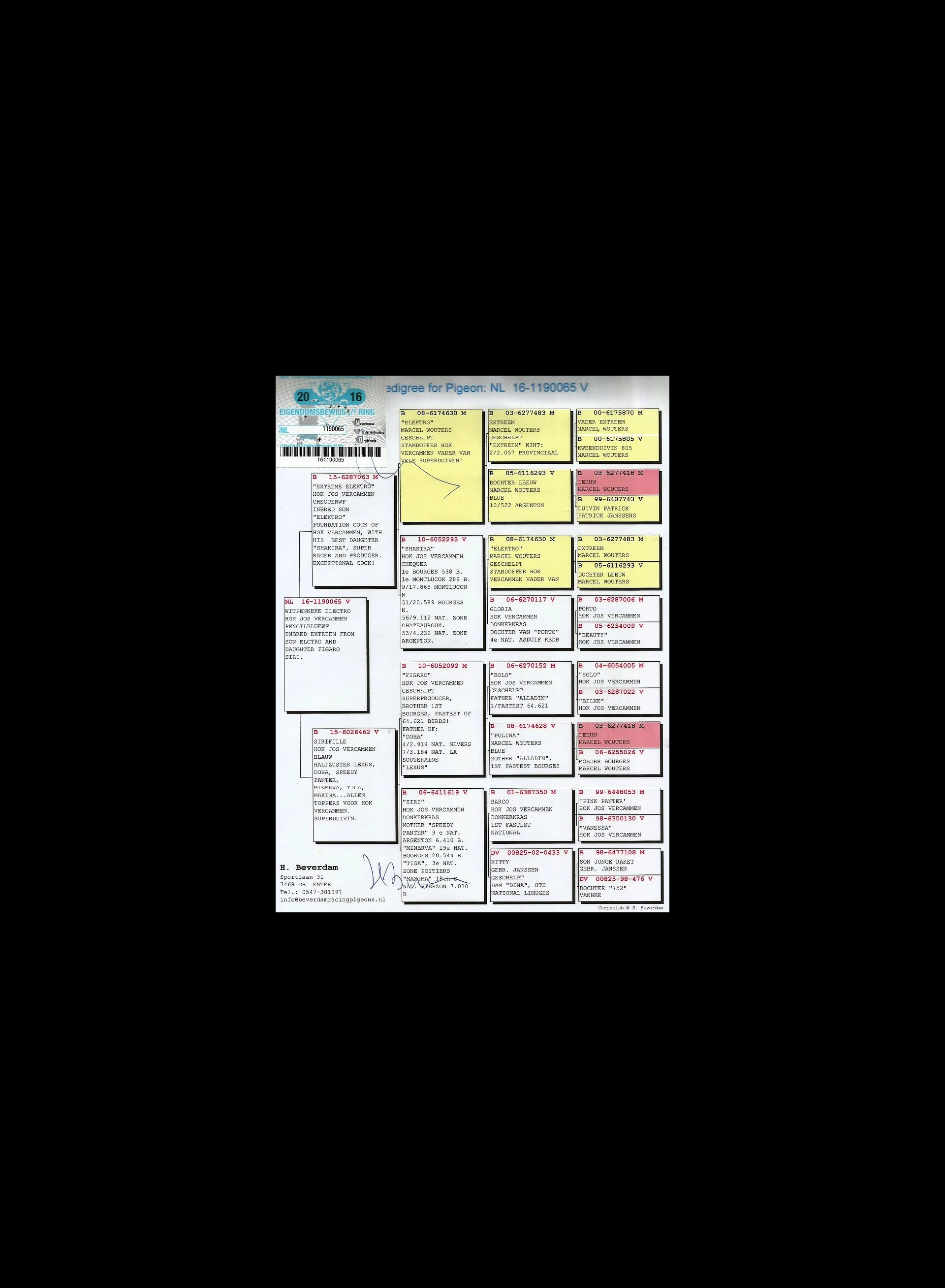 uploads/hodowcy/DRAWC/1612610838rodnl-2016-1190065ok.jpg