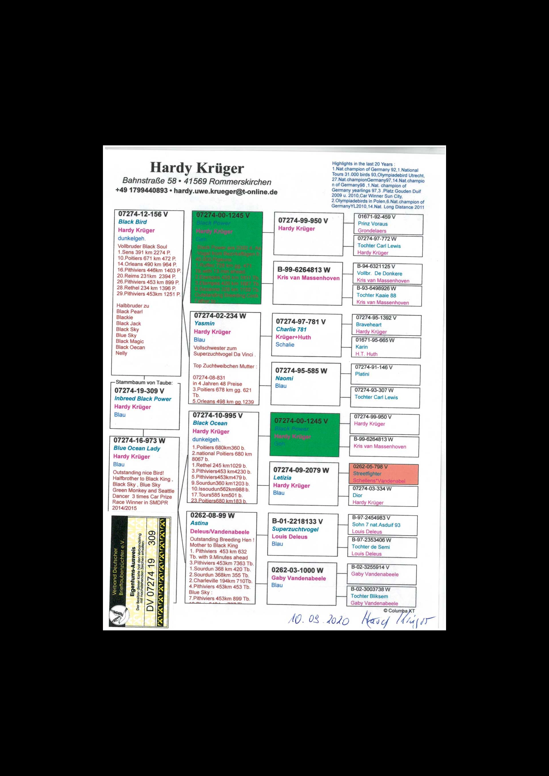 uploads/hodowcy/KOSTORZ/dv-07274-19-309rod.jpg