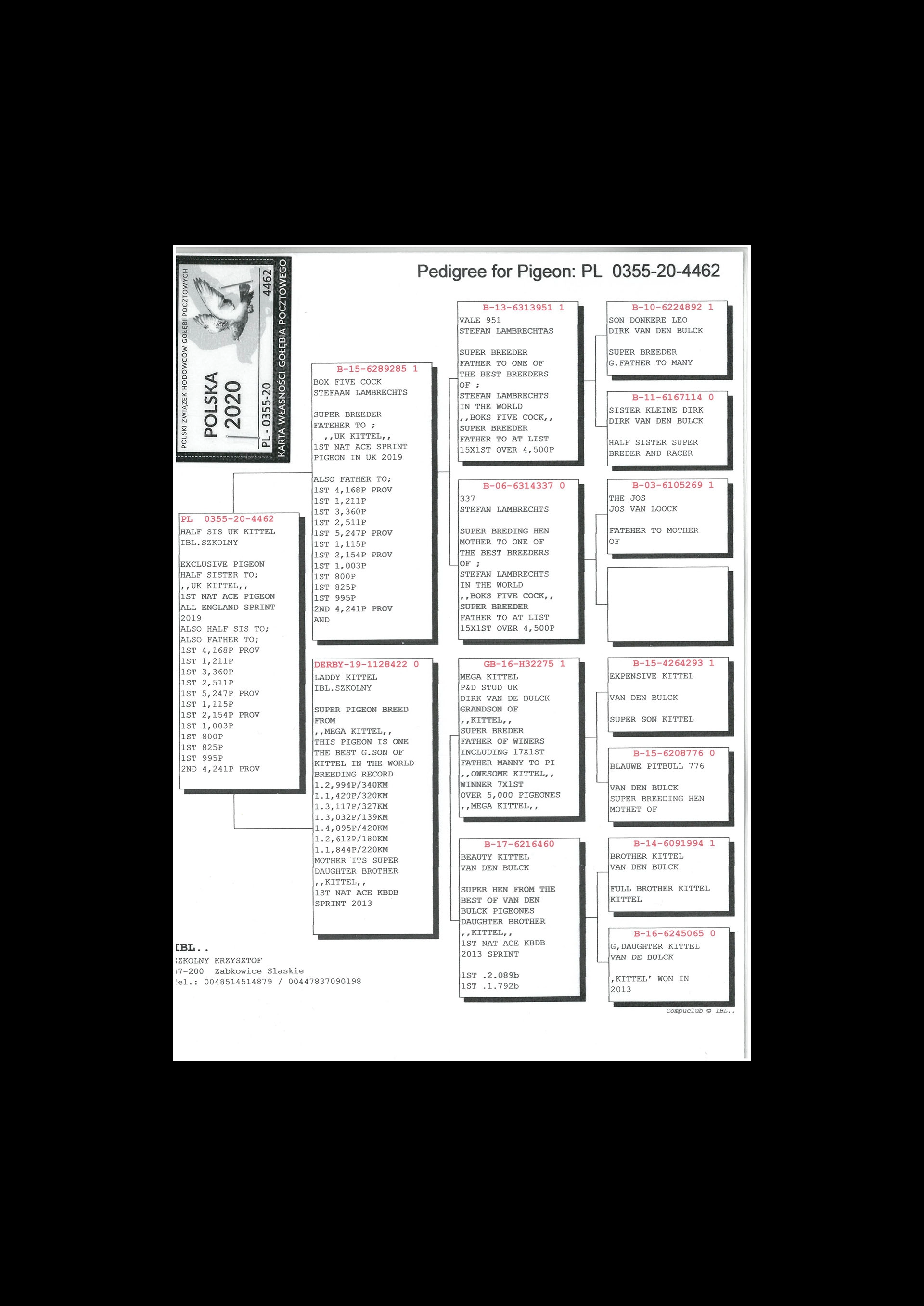 uploads/hodowcy/KOSTORZ/pl-0355-20-4462rod.jpg