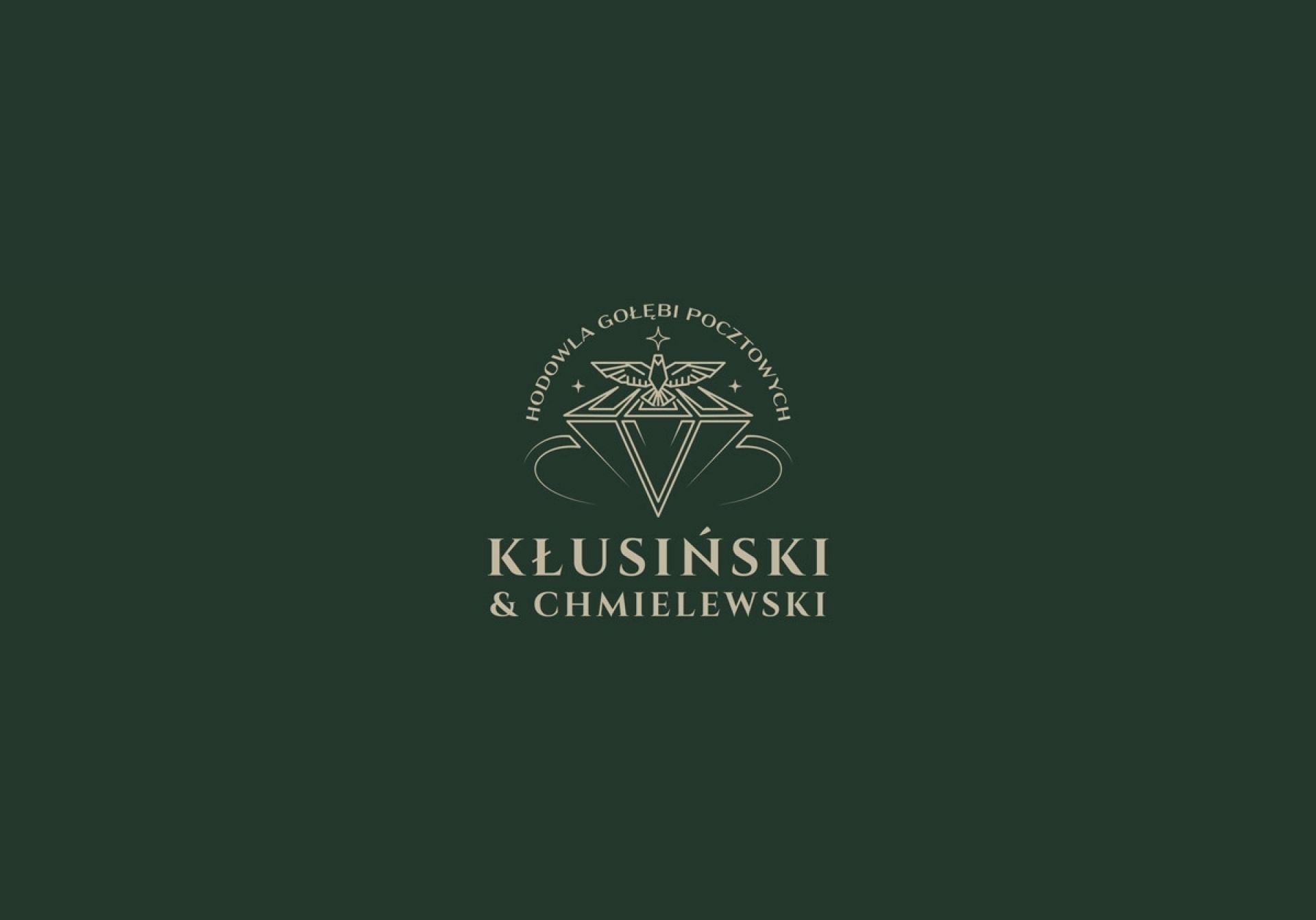 uploads/user_file/katalog-klusinski-chmielewski/01.jpg