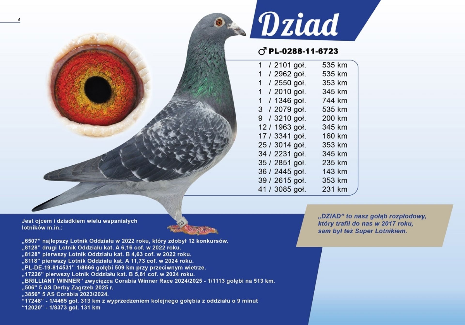 uploads/user_file/katalog-klusinski-chmielewski/04.jpg