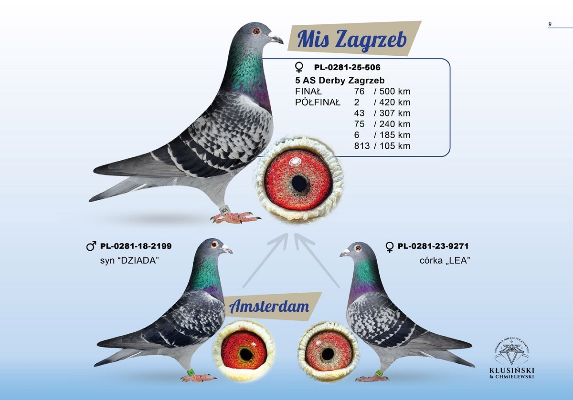 uploads/user_file/katalog-klusinski-chmielewski/09.jpg