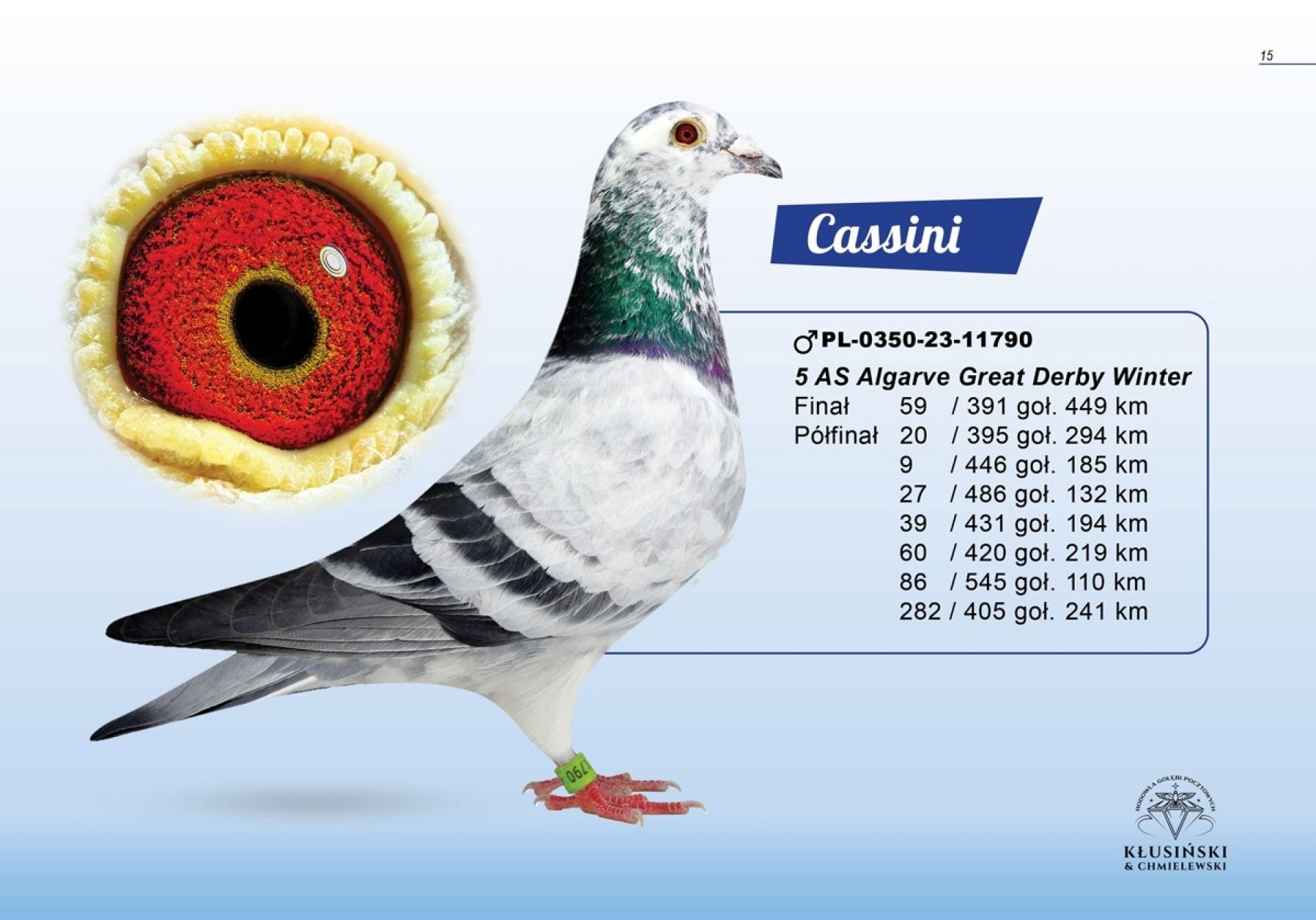 uploads/user_file/katalog-klusinski-chmielewski/15.jpg