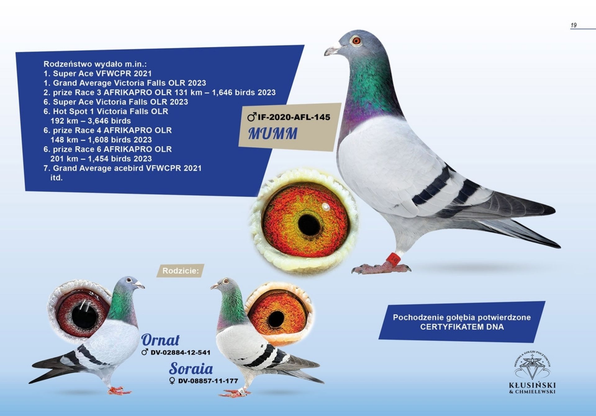 uploads/user_file/katalog-klusinski-chmielewski/19.jpg